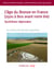 Recherches archéologiques n.28 : L'âge du Bronze en France (2500 à 800 avant notre ère) - Synthèses régionales