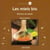 Les miels bio - butinez de plaisir