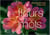Des fleurs et des mots