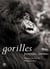 Gorilles - portraits intimes