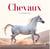 Chevaux : calendrier (édition 2024)