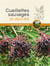Cueillettes sauvages en Aquitaine
