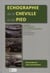 Échographie de la cheville et du pied