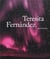 Teresita fernandez - wayfinding