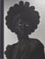 Somnyama ngonyama, salut à toi, lionne noire !
