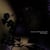 The forester - CD
