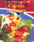 CUISINE ITALIENNE