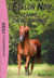 L'étalon noir Tome 10 : Flamme, cheval sauvage