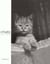 Les chats