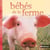 Bebes de la ferme