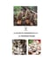 La culture du champignon de a à z