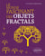 Le monde fascinant des objets fractals