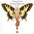 Virelangues et trompe-oreilles