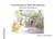 Promenade en Baie de Somme (nature at architecture)