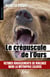 Le crépuscule de l'ours : ultimes rugissements de violence dans la métropole