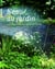 L'eau au jardin