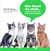 Que disent les chats...quand on leur pose les bonnes questions
