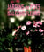 Jardins de pots, balcons fleuris