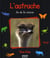 L'autruche, as de la course