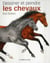 DESSINER ET PEINDRE LES CHEVAUX