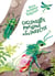 Coccinelles, papillons et autres insectes