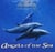 Angels of the sea