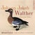 Walther, Johann Jakob : Scherzi da violino / Bojan Cicic