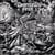 Dead shores rising
