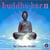 Buddha-Bar / Vol 2