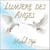 Lumière des anges - CD