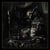 The wild hunt - CD