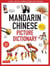 Mandarin chinese picture dictionary