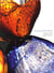The touch of the oracle michael petry works 2003/12