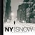 New York in the snow - a magical vision of New York city