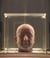 Marc Quinn Chronos & Cosmos : the state Hermitage museum