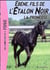 L'Étalon Noir 21 - Ébène, le fils de l'Étalon Noir