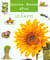 Les plantes