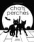 Chats perchés