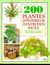 200 plantes d'interieur d'entretien facile