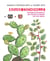 Rouge cochenille - histoire d'un insecte qui colora le monde, XVIe-XXIe siècle