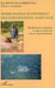 Modelisation economique des exploitatons agricoles