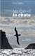 Le rêve et la chute - récit d'une quête d'absolu