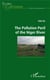 The pollution peril of the niger river