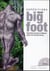 Expéditions bigfoot : recherches de terrain et réflexions autour d'un hominide inconnu