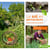 Le sol en permaculture - enrichir la terre de son jardin