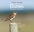 Dunes - richesses naturelles - 25 itinéraires de la vendée au cotentin