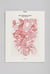 Icons of japanese algae