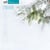 L'hiver