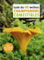 Guide des 60 meilleurs champignons comestibles