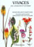 Plantes vivaces t.2 - ete automne